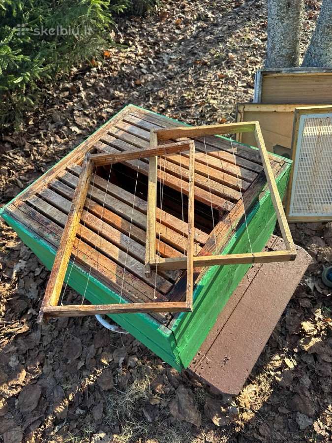Korpusinis bičių avilys su šeima - nuotraukos Nr. 9