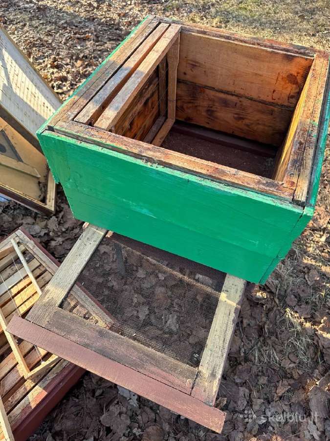 Korpusinis bičių avilys su šeima - nuotraukos Nr. 11