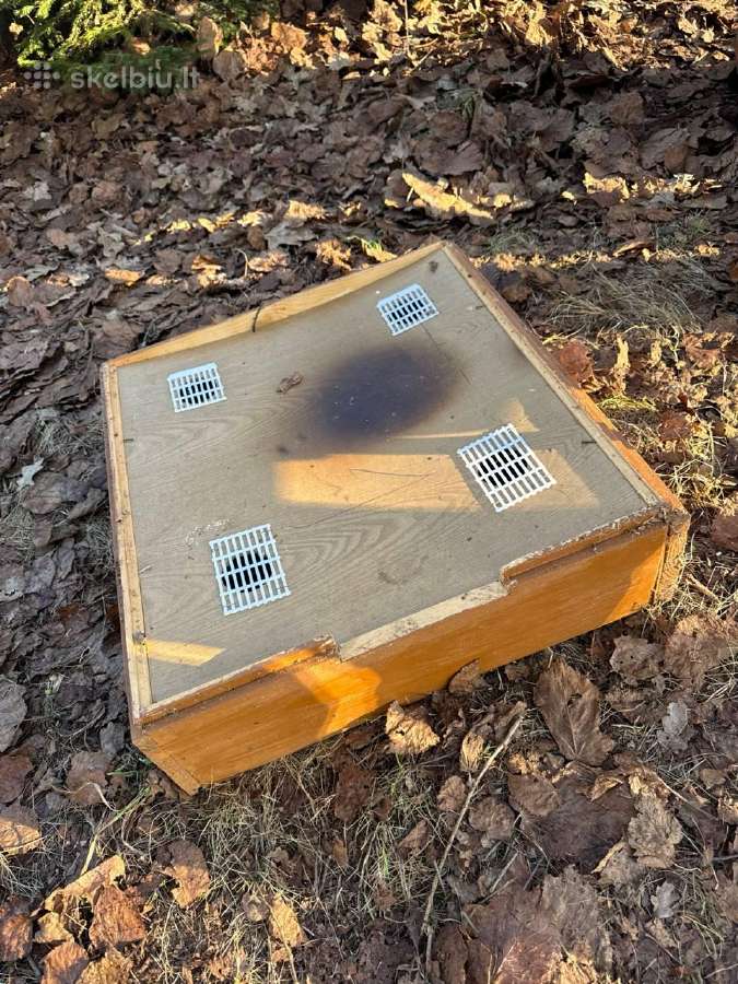 Prišspietinis korpusas bitėms
