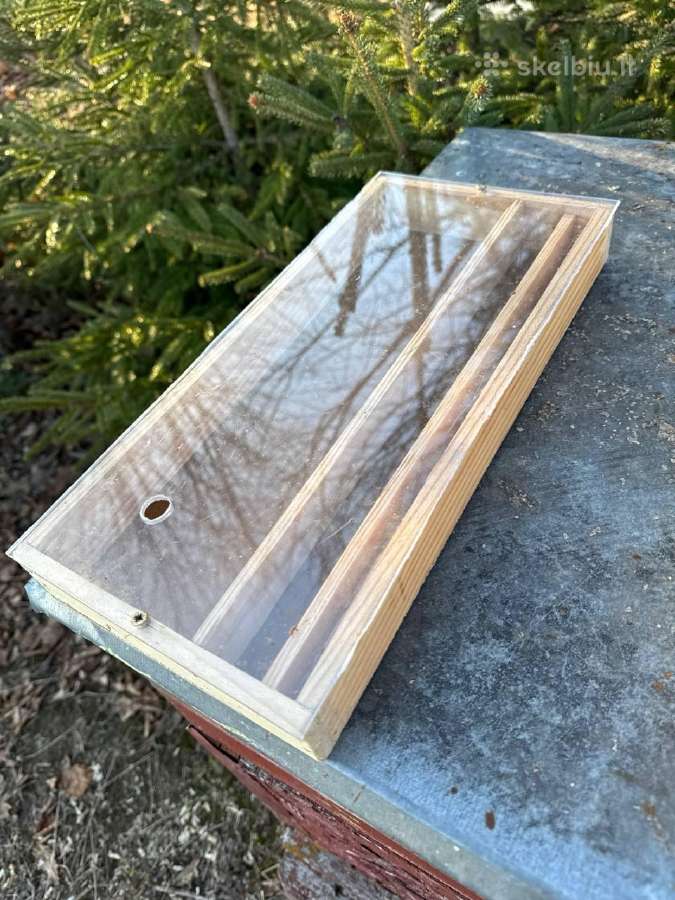 Bičių maitintuvės