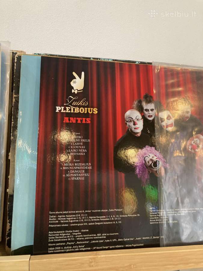 Lp Antis - Zuikis pleibojus - nuotraukos Nr. 2