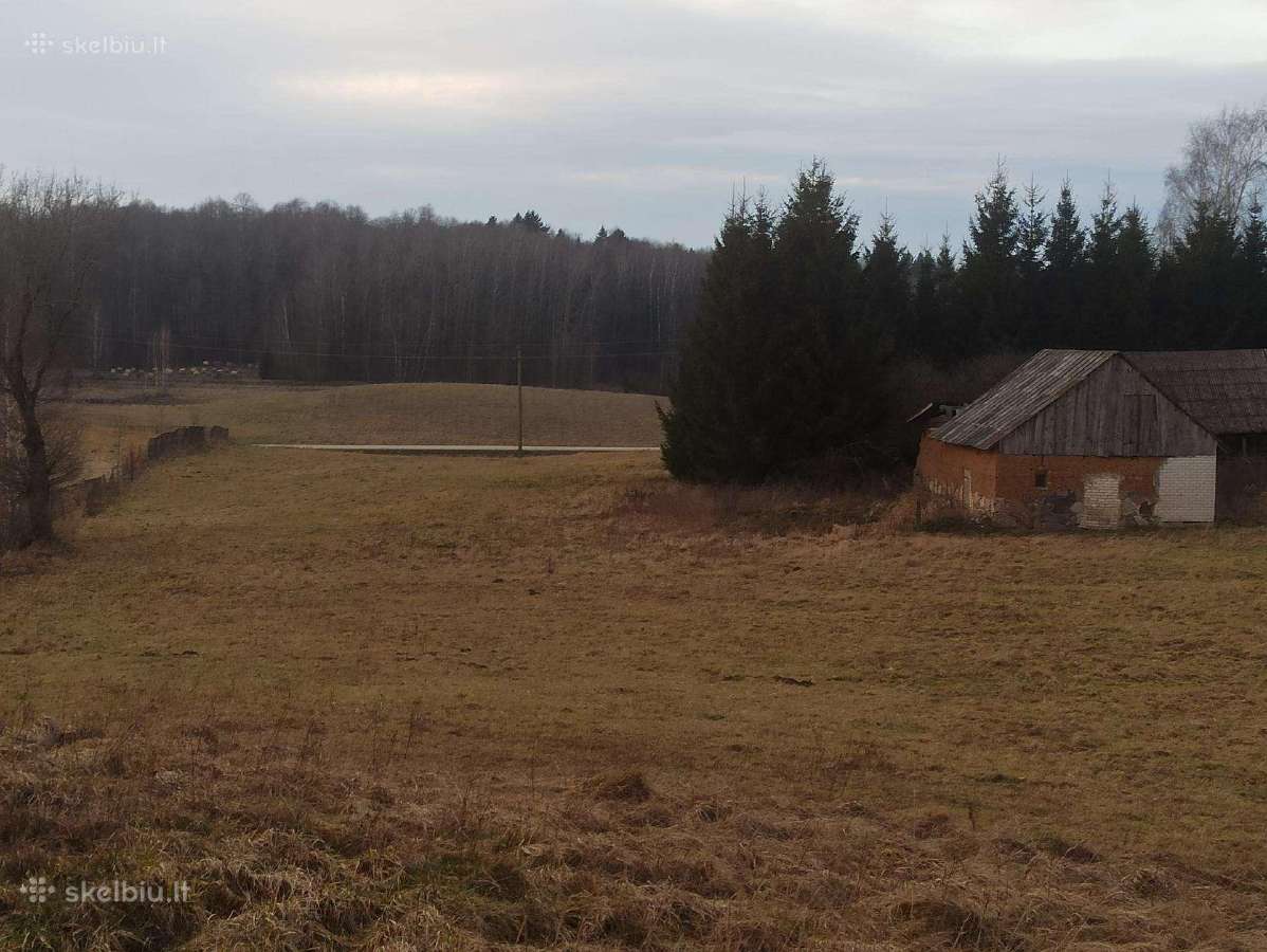 Parduodu Keičiu Sodybą Graži Vieta - nuotraukos Nr. 29
