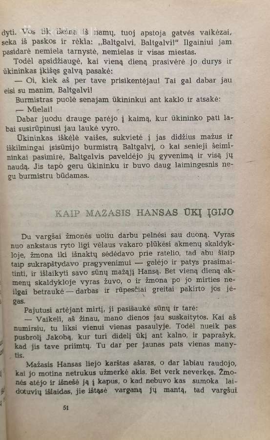 Vokiečių pasakos "Aukso karalystė" - nuotraukos Nr. 3
