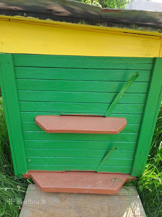 Nauji aviliai ir bičių motinelės - nuotraukos Nr. 2