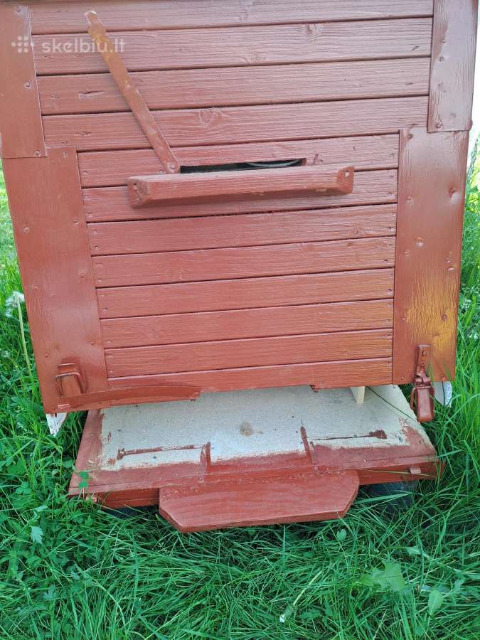 Nauji aviliai ir bičių motinelės - nuotraukos Nr. 3