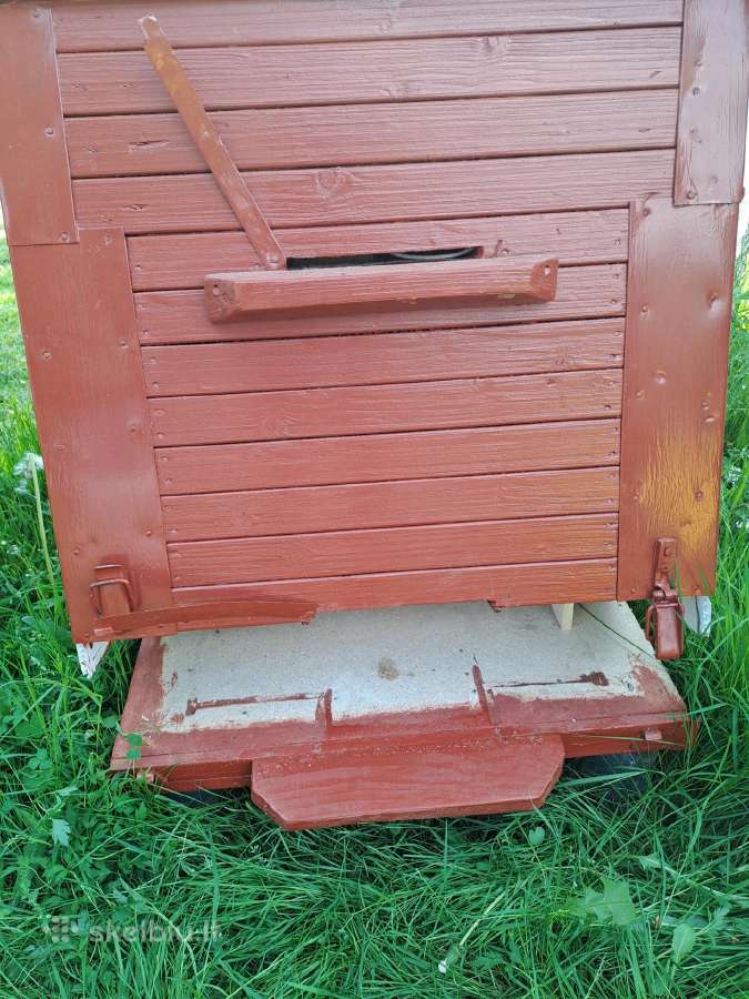 Nauji aviliai ir bičių motinelės - nuotraukos Nr. 7