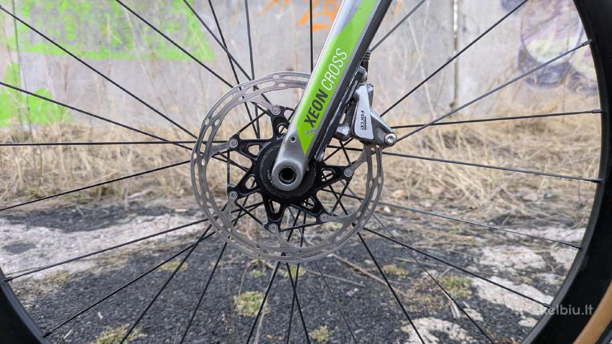 Rose Xeon Cross carbon - nuotraukos Nr. 25