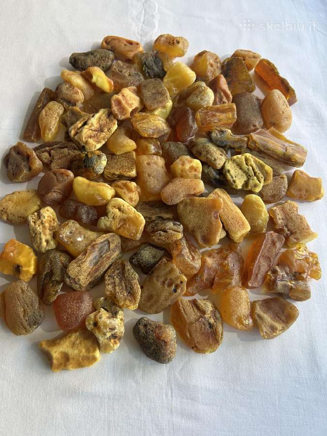 Gintaras - nuotraukos Nr. 8