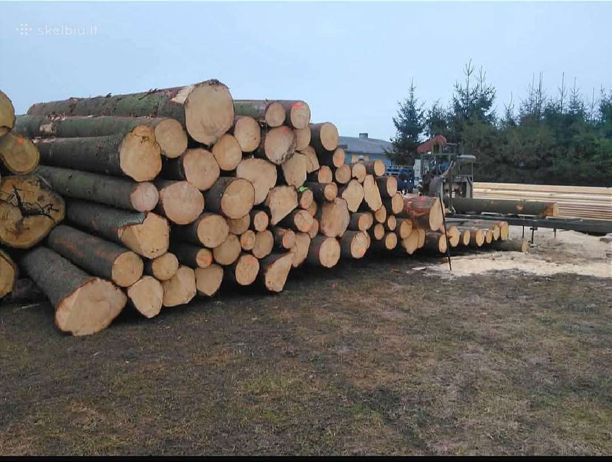 Kilnojamu juostiniu gateriu, pjauname rąstus