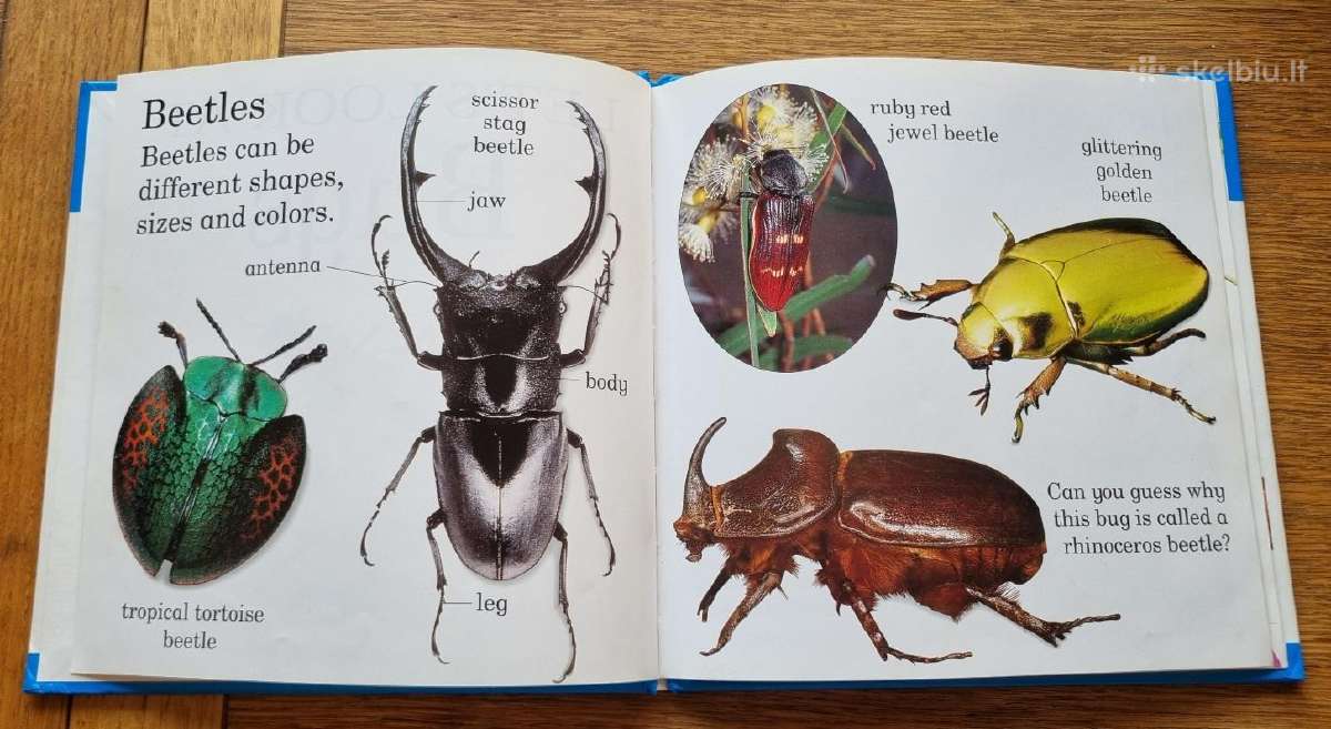 Knyga "let's look at Bugs" - nuotraukos Nr. 3