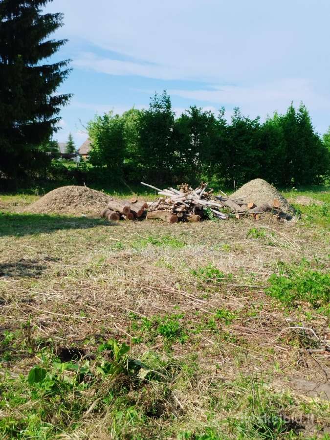 Kelmų frezavimas Šakų smulkintuvo nuoma - nuotraukos Nr. 16
