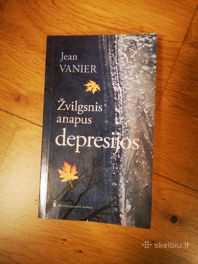Žvilgsnis anapus depresijos
