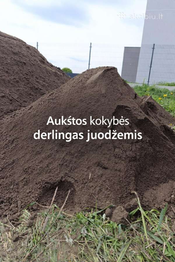 Juodzemis, dirvozemis, augalinis sluoksnis