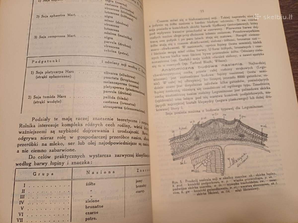 Parduodu knyga.soja,1933m-wilno - nuotraukos Nr. 9