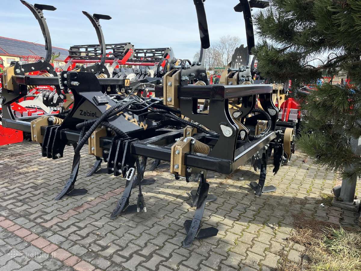 Noraginis skutikas