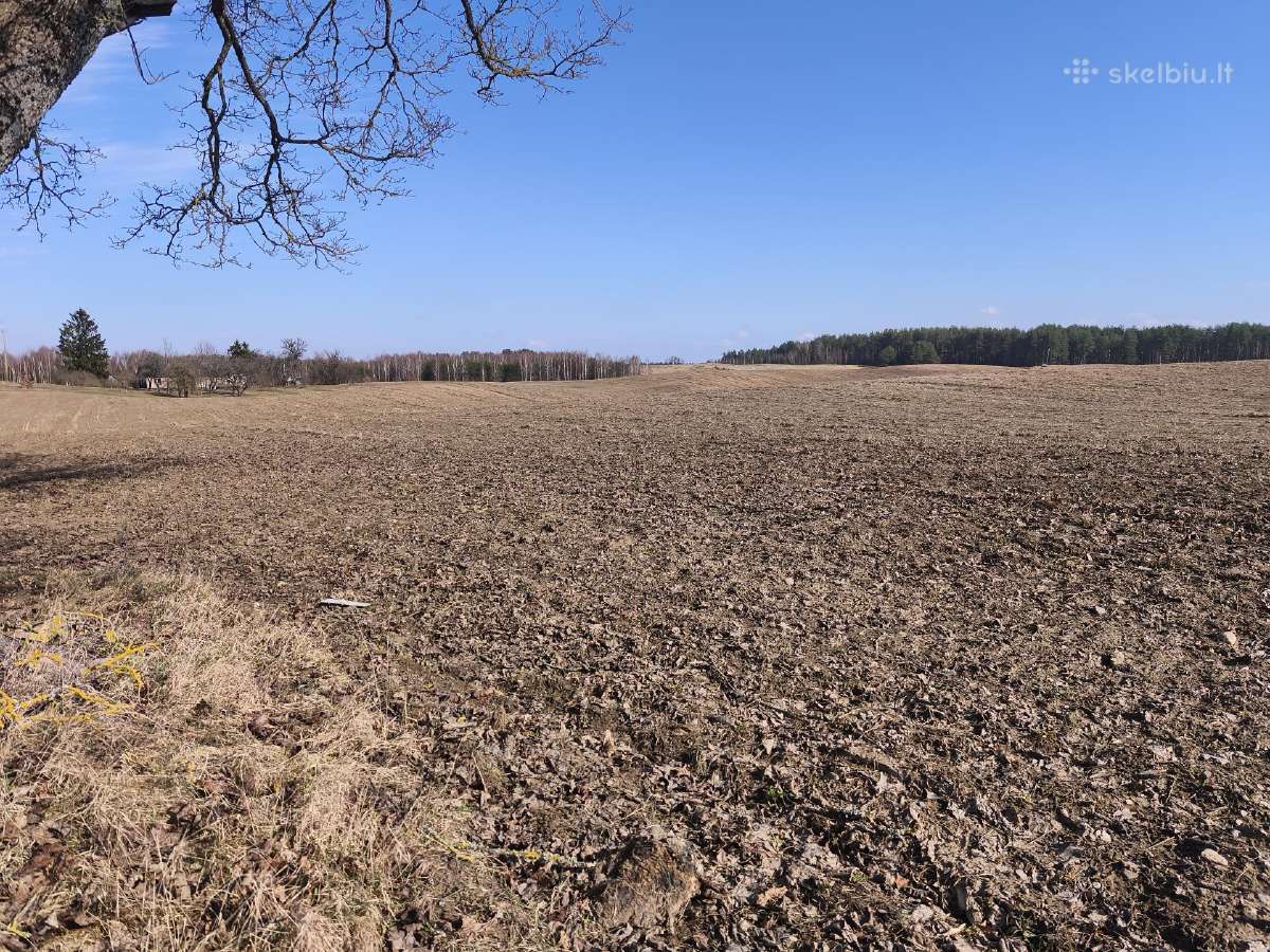 10.8800ha žemės sklypas Ilgininkų km.varėnos raj.