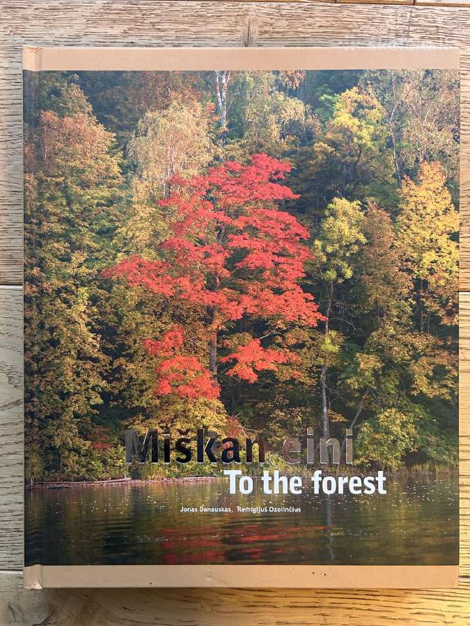 Miškan eini. J. Danauskas, R. Ozolinčius