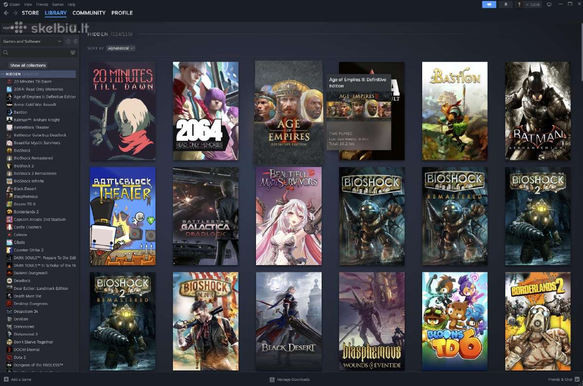 Steam accountas