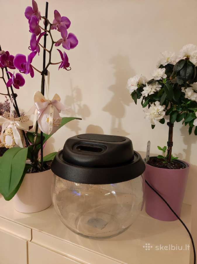 Akvariumas su dangčiu - nuotraukos Nr. 3
