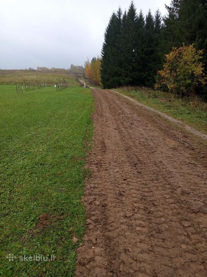 Ekskavatoriaus 2.6t. nuoma,kasimo darbai - nuotraukos Nr. 19