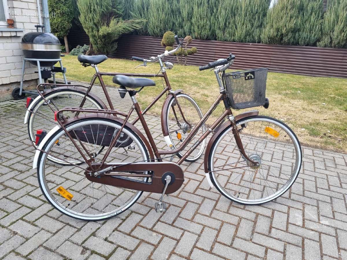 Batavus Flying Dutchman