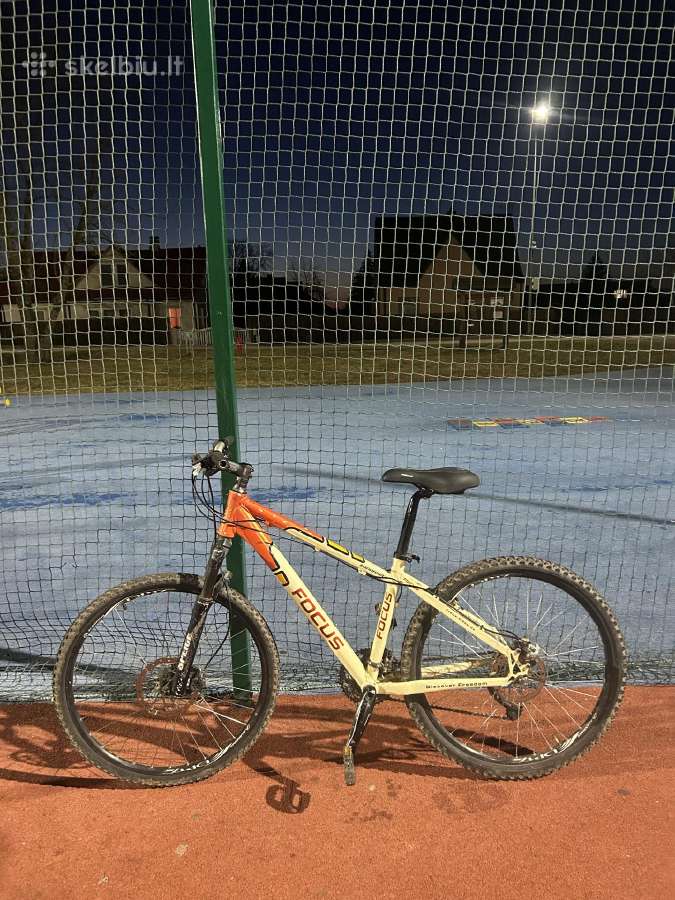 Focus Kalnu dviratis MTB