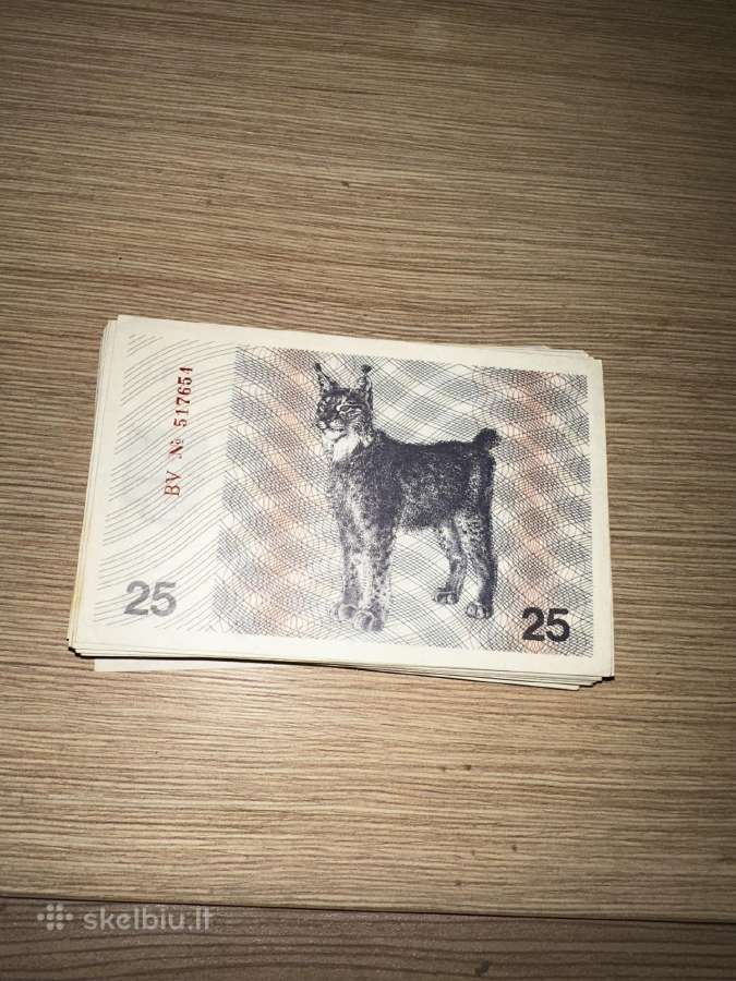 1991m laikinieji tolonai - vagnorkės - nuotraukos Nr. 2