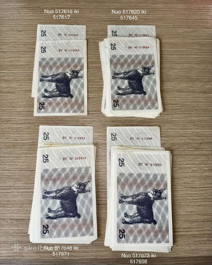 1991m laikinieji tolonai - vagnorkės - nuotraukos Nr. 4