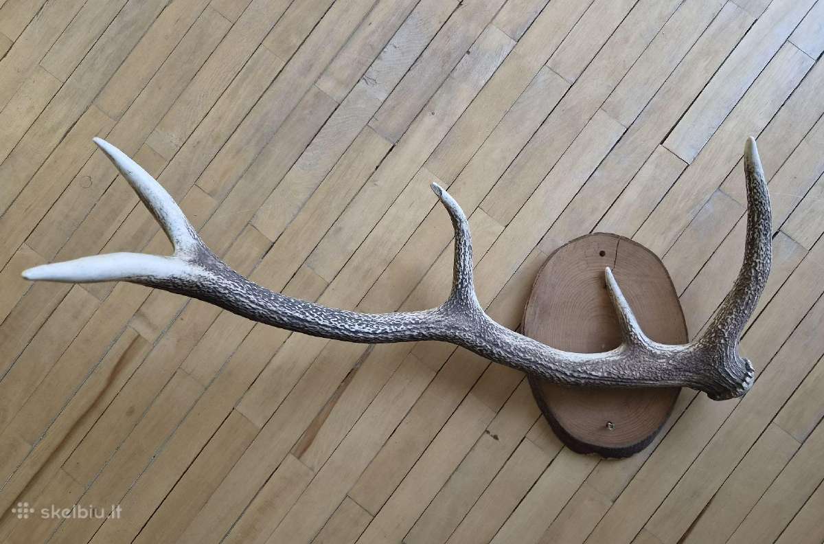 Interjero akcentas ragai 87 cm, 4 atšakos - nuotraukos Nr. 2
