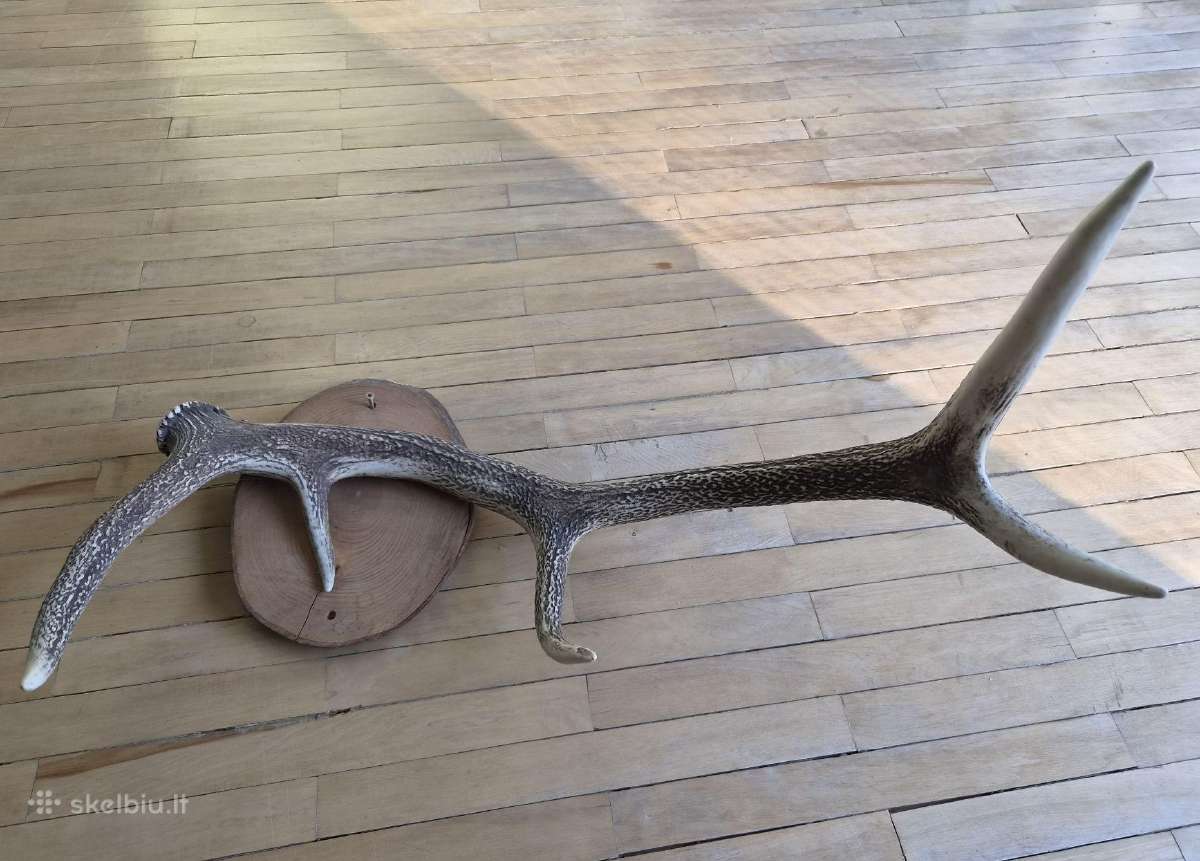 Interjero akcentas ragai 87 cm, 4 atšakos - nuotraukos Nr. 3