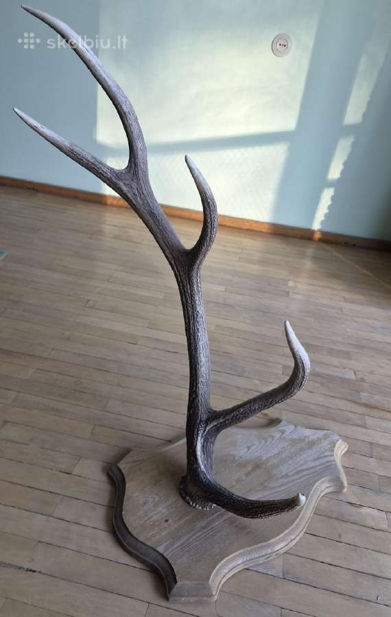 Interjero akcentas ragai 91 cm, 5 atšakos - nuotraukos Nr. 2