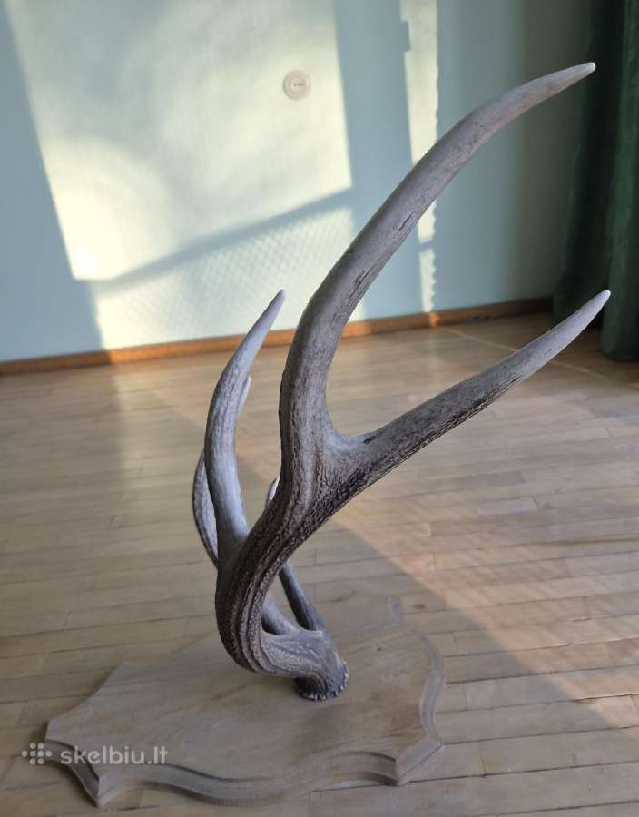 Interjero akcentas ragai 91 cm, 5 atšakos - nuotraukos Nr. 3