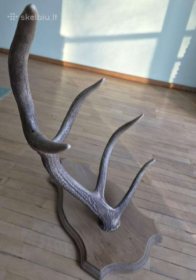 Interjero akcentas ragai 91 cm, 5 atšakos - nuotraukos Nr. 4
