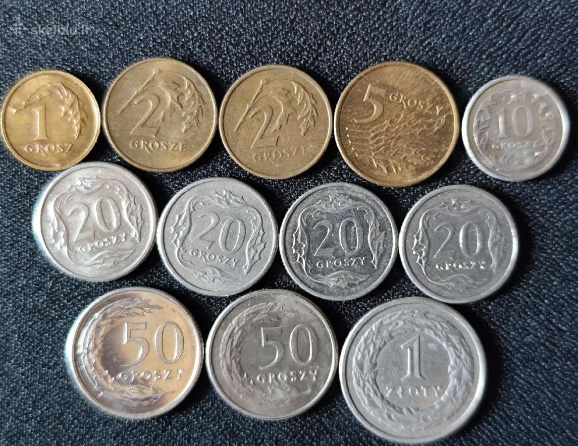 Lenkija.