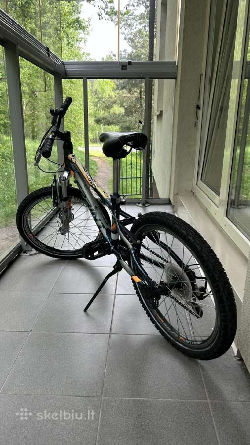 Vaikiškas dviratis Sprint, 20 colių