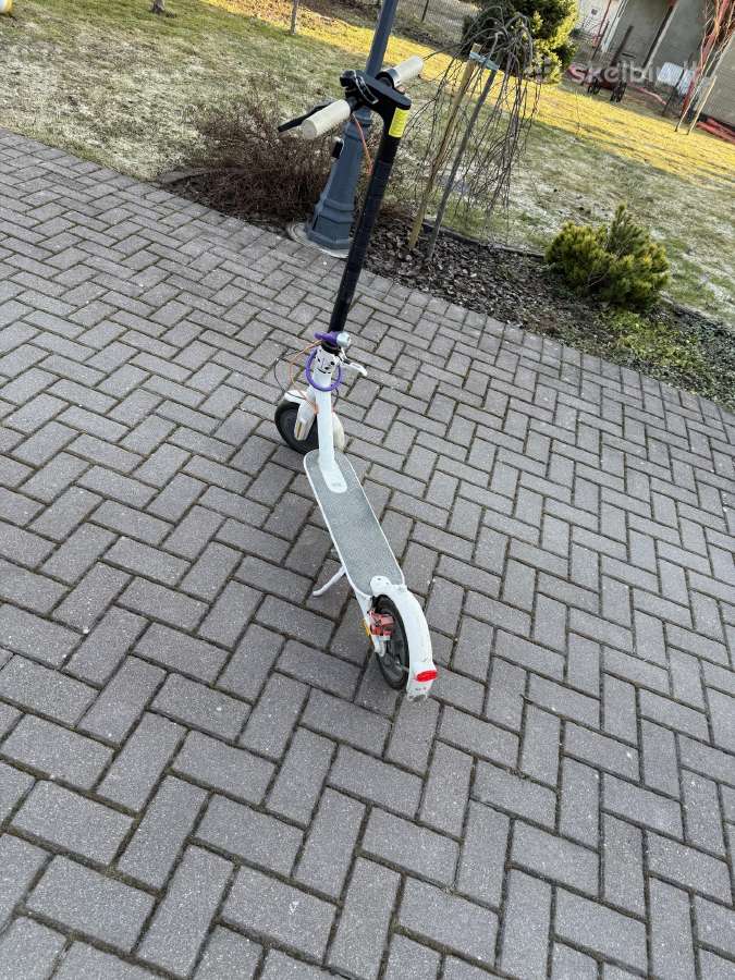 Paspirtukas scooter3