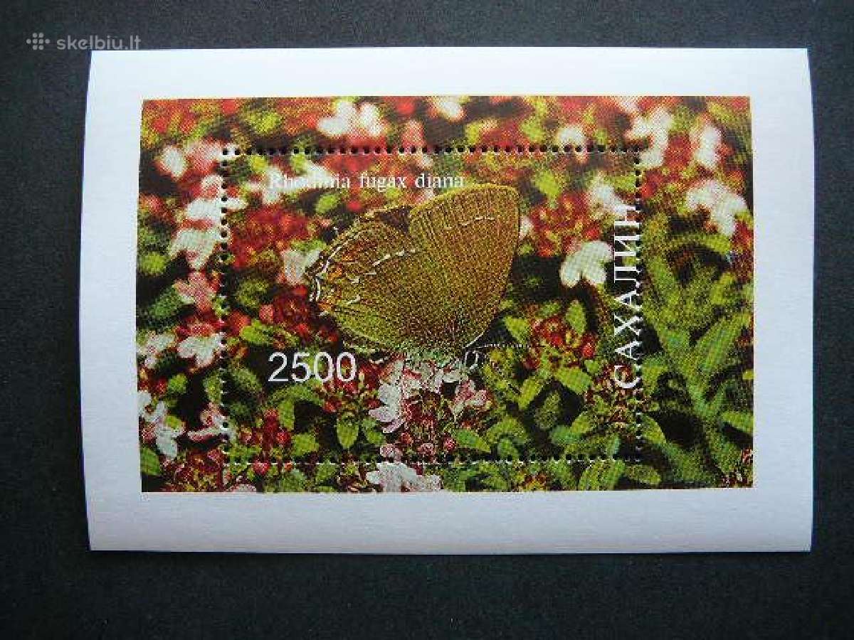 Drugeliai Sachalinas (R) 2001 svarus sch59