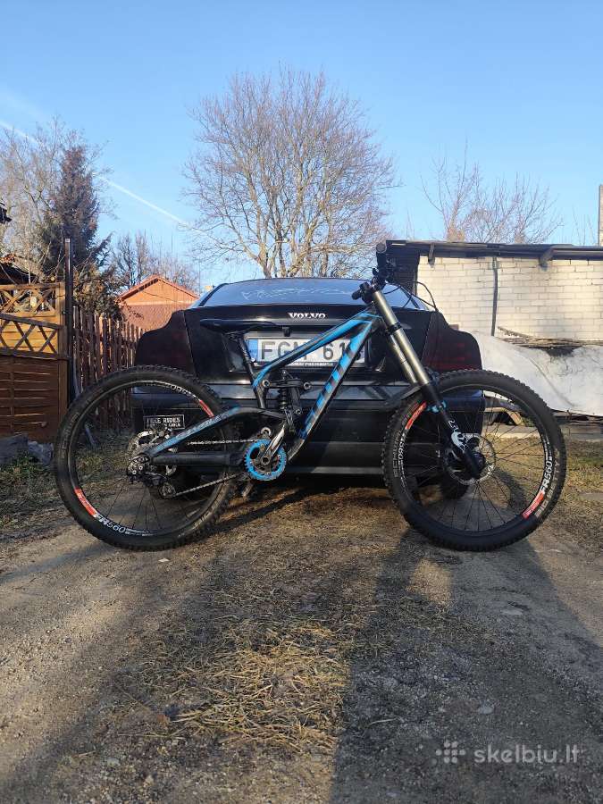Scott gambler 20