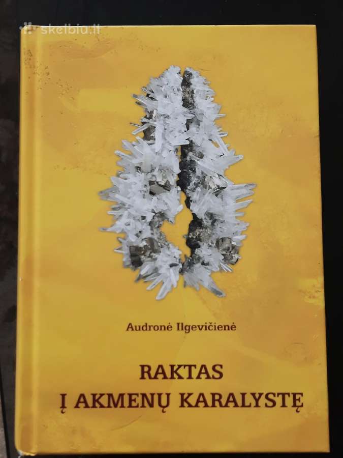 Audronė Ilgevičienė. Raktas į akmenų karalystę.