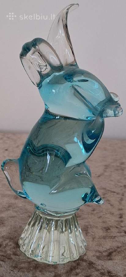 Stiklinis triušis - nuotraukos Nr. 4