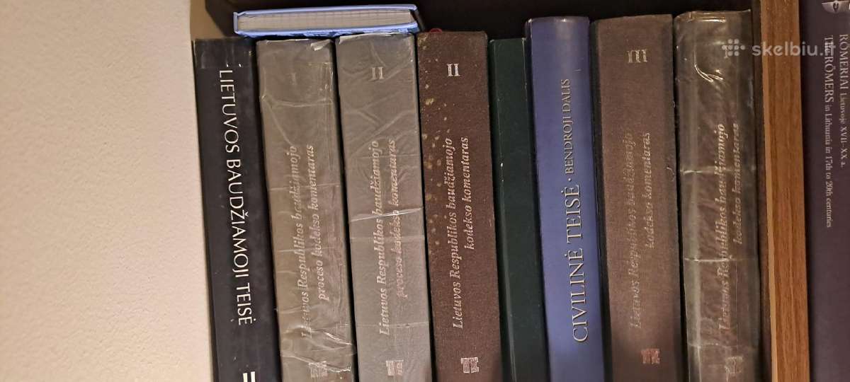 Baudžiamosios teisės komentarai, Piesliako vadovė - nuotraukos Nr. 2