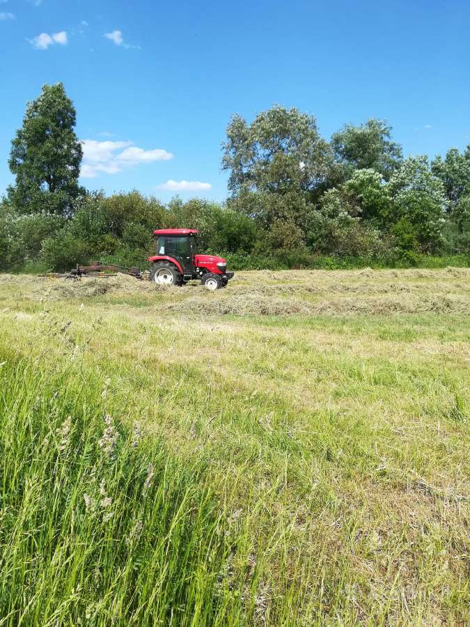 Šienas ir šiaudai kitkomis - nuotraukos Nr. 2