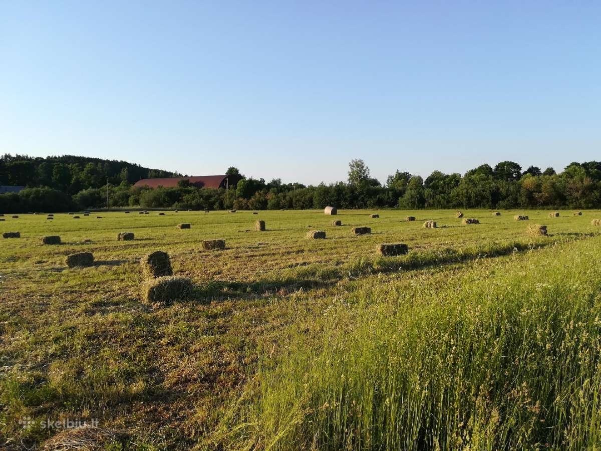 Šienas ir šiaudai kitkomis - nuotraukos Nr. 3