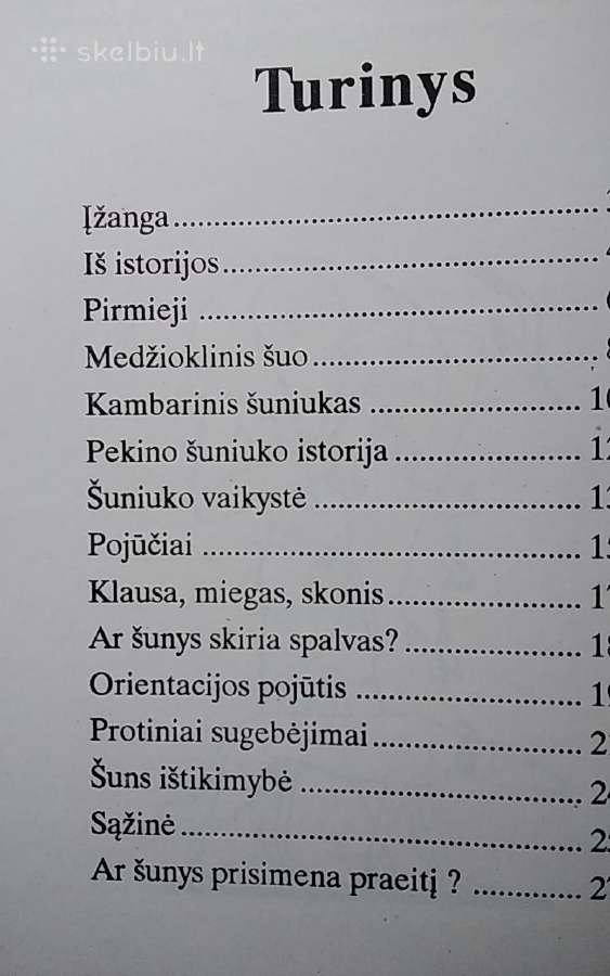 Šuo tarp žmonių - nuotraukos Nr. 3