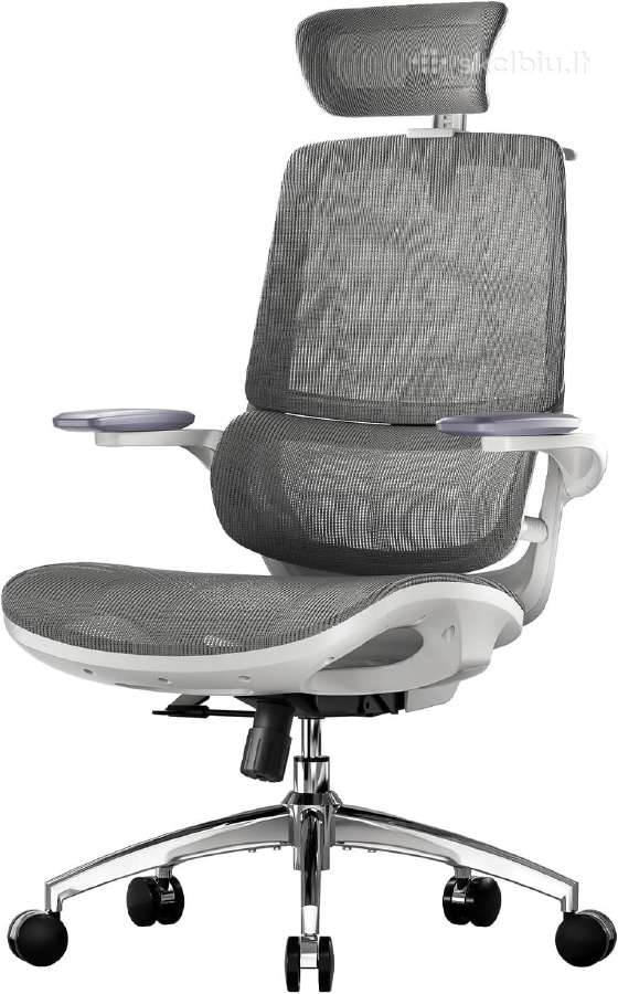 Ergonomiška biuro kėdė