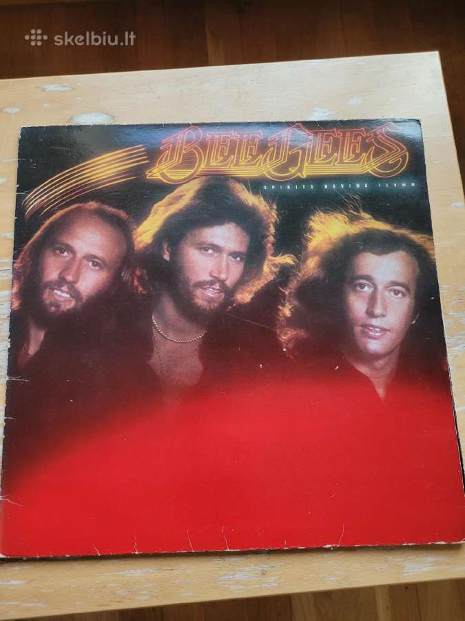 Lp (Vinilinės plokštelės) - nuotraukos Nr. 11