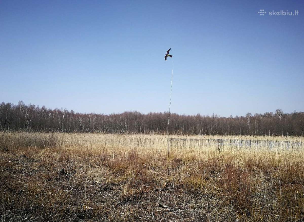 Paukščių baidyklė – aitvaras „vanagas“ - nuotraukos Nr. 3