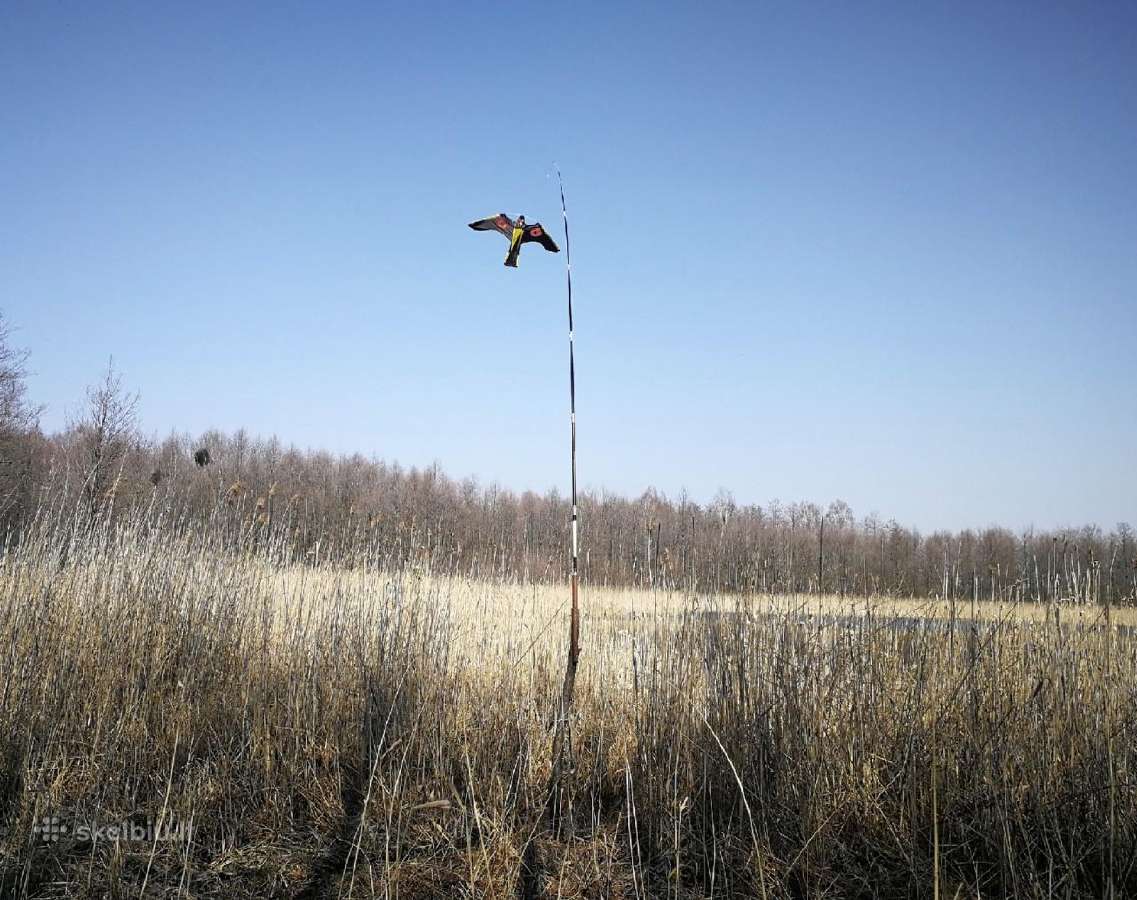 Paukščių baidyklė – aitvaras „vanagas“ - nuotraukos Nr. 5