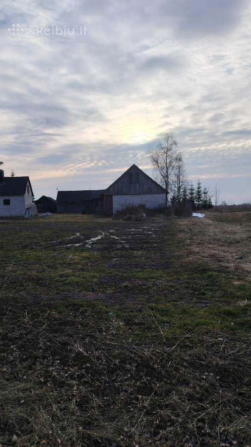 Parduodama sodyba Raseinių raj. - nuotraukos Nr. 7