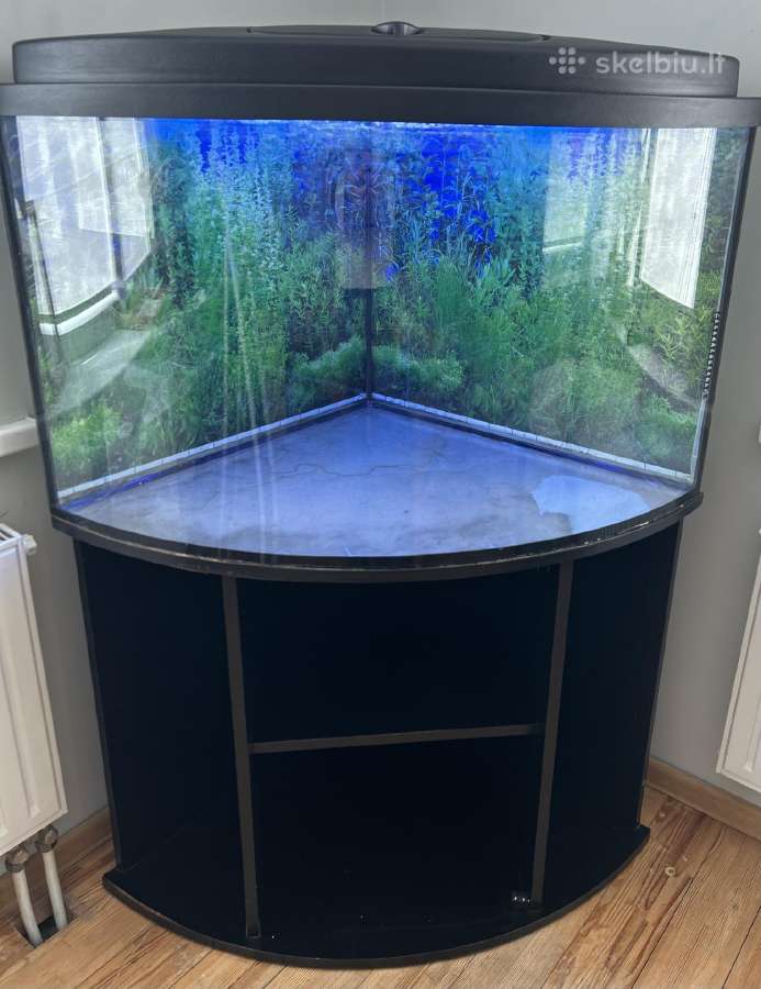 210 litrų kampinis akvariumas